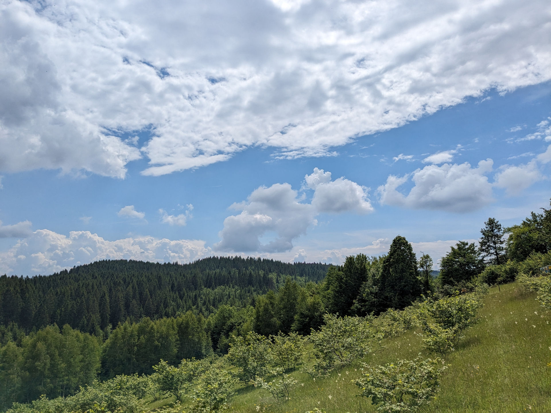 Plantaža