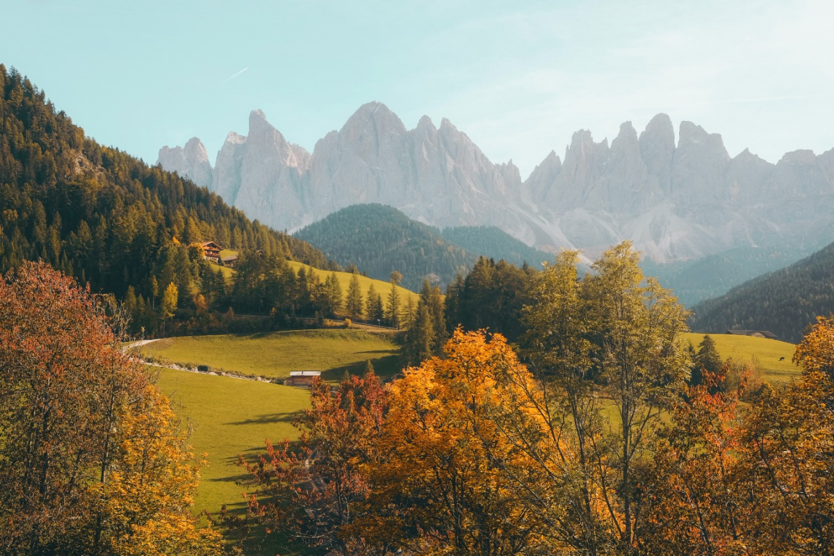 Natures 01